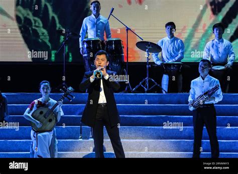 Mango Tree Melodies: The Unforgettable Concert That Brought Chinese Pop Royalty to Warsaw!